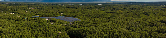 Sign Delivery and Courier Services